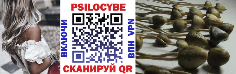 Галлюциногенные грибы Psilocybine cubensis  Коммунар 